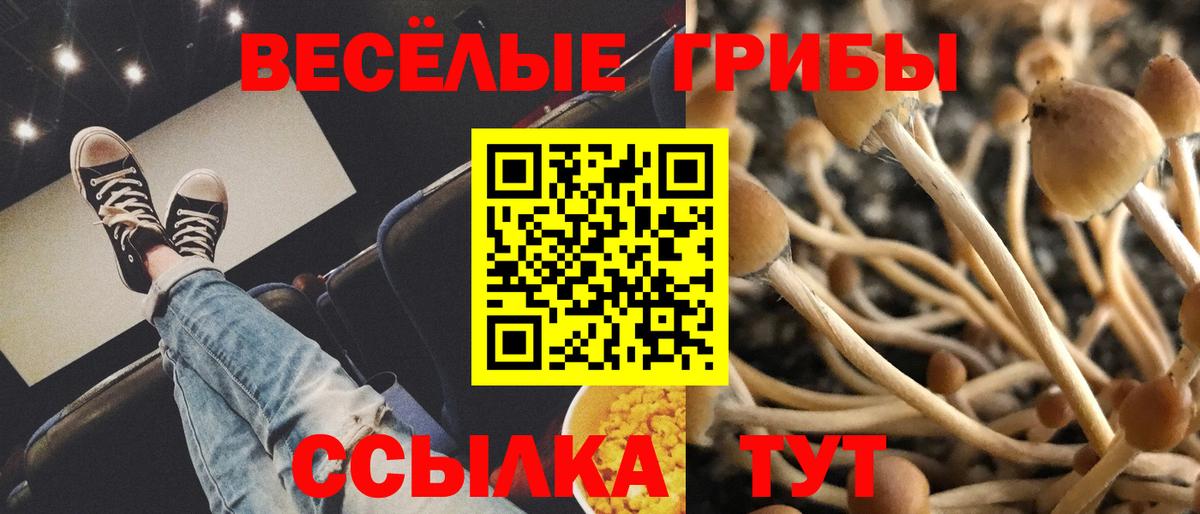 хочу   Вход с VPN  Галлюциногенные грибы ЛСД  Ухта  Галлюциногенные грибы MAGIC MUSHROOMS 